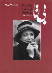 item.website_item_name