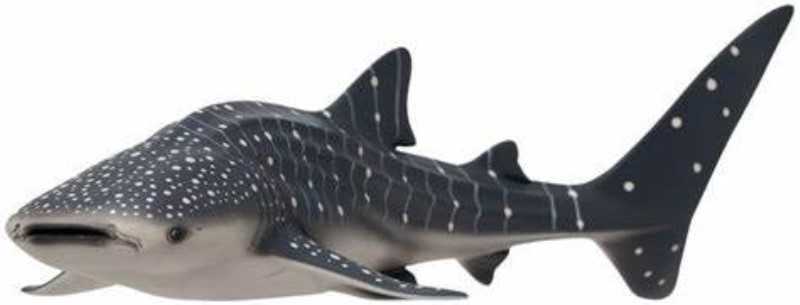 Whale Shark 381038