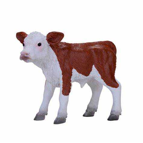 Hereford Calf 381075