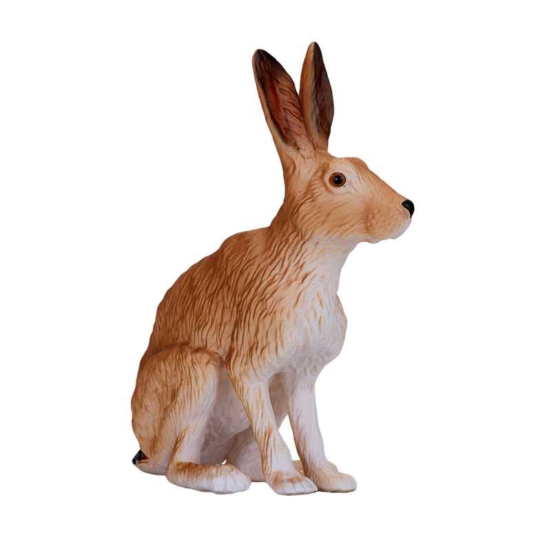 Hare 381072