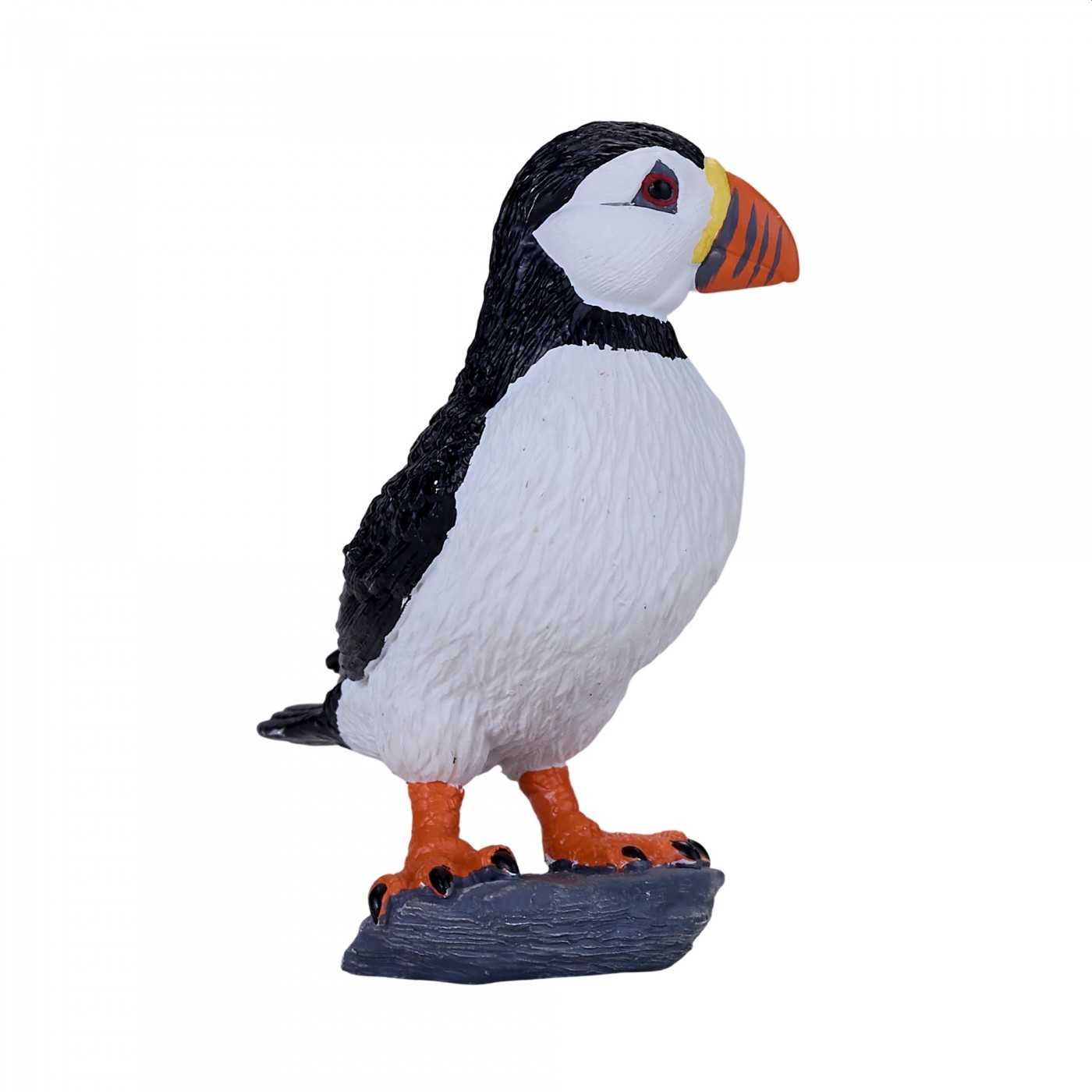 Atlantic Puffin 381081