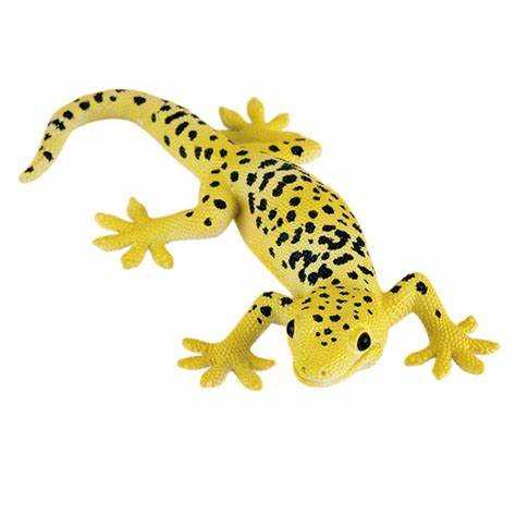 Leopard Gecko 381077
