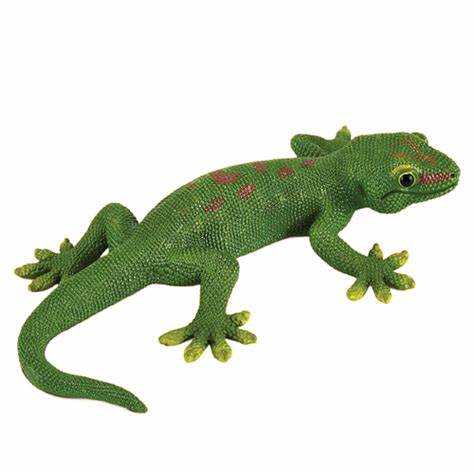 Gecko 381078