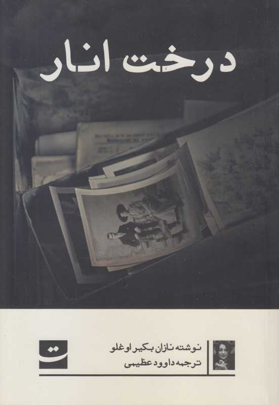 درخت انار