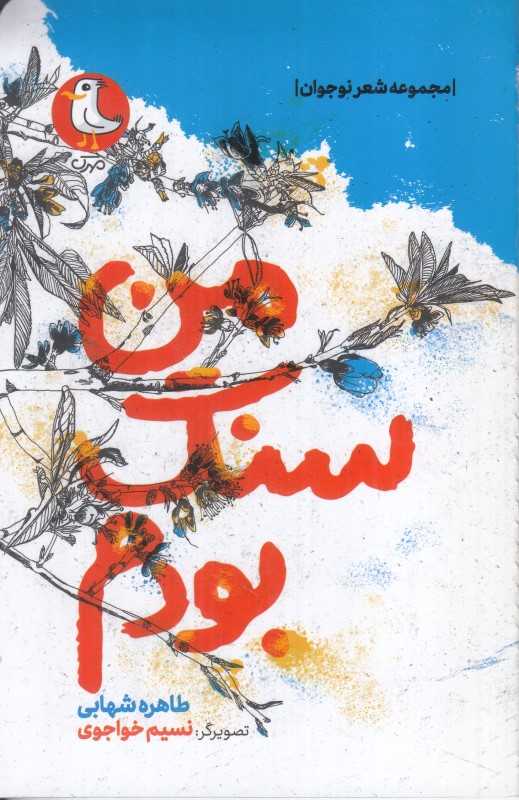 من سنگ بودم (مجموعه شعر نوجوان)