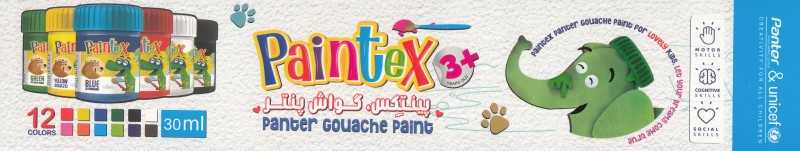 گواش نانو 12 رنگ Panter UGP712-12 Paintex 30ml