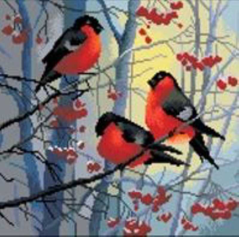 پازل دایموند پینتینگ Diamond Painting Z6025
