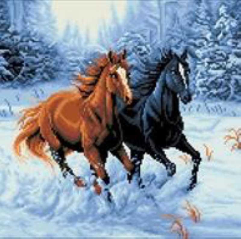 پازل دایموند پینتینگ Diamond Painting Z6032