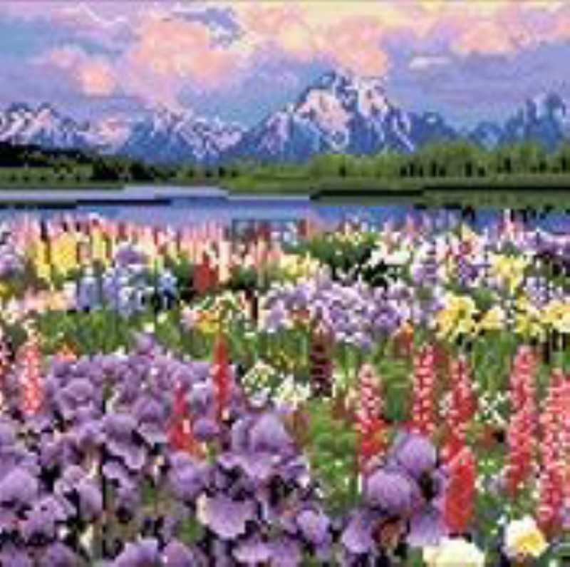 پازل دایموند پینتینگ Diamond Painting Z7018