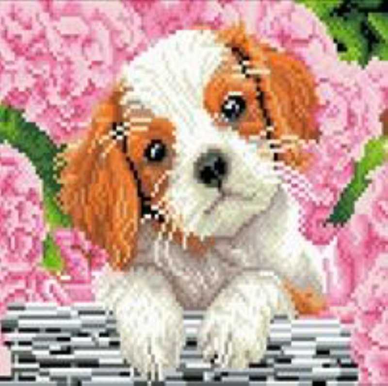 پازل دایموند پینتینگ Diamond Painting Z8013