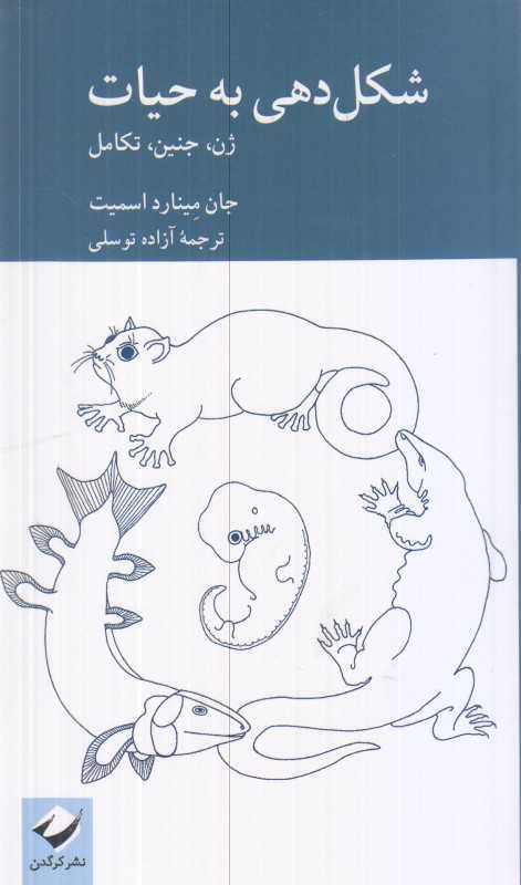 شکل‌دهی به حیات (ژن جنین تکامل)