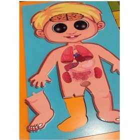 پازل چوبی آناتومی بدن سایان