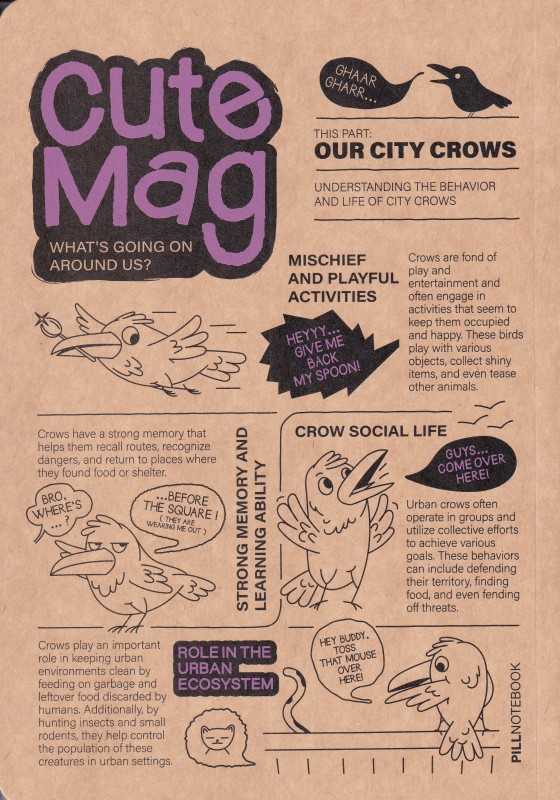 دفتر 60 برگ رقعی Pill Cute Mag