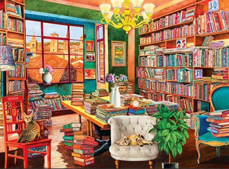 پازل The Old Library 1000pcs 6000-5888