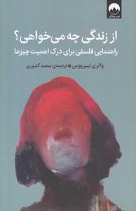 item.website_item_name