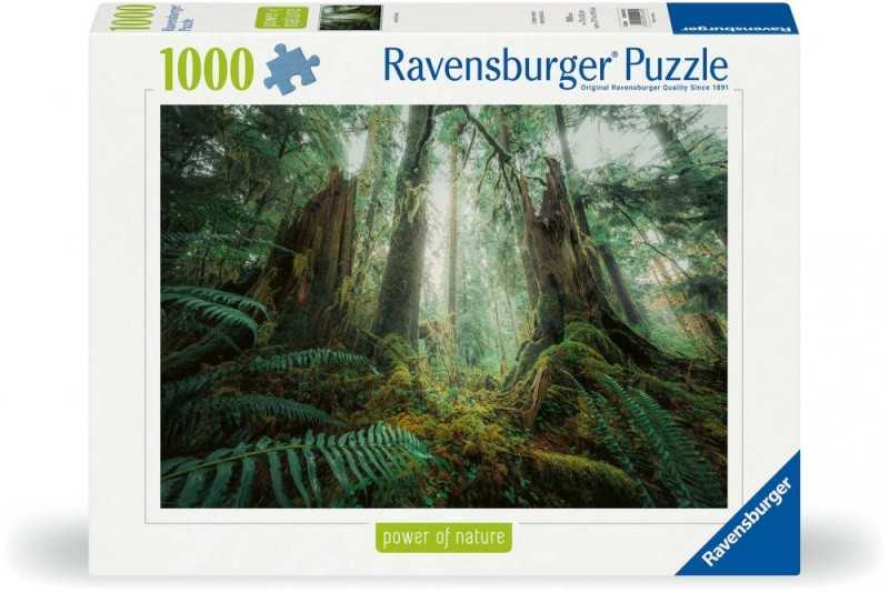 پازل in The Forest 1000pcs 02925