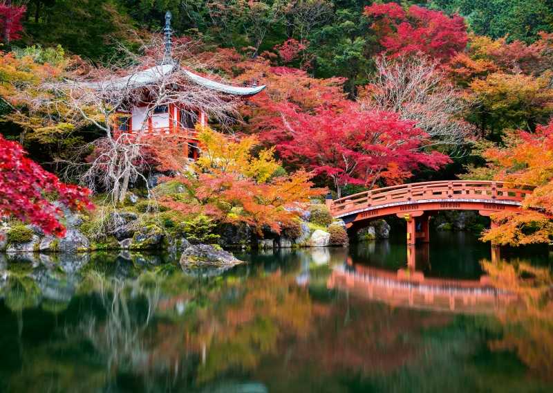 پازل Daigo ji Kyoto japan 1000pcs 08491