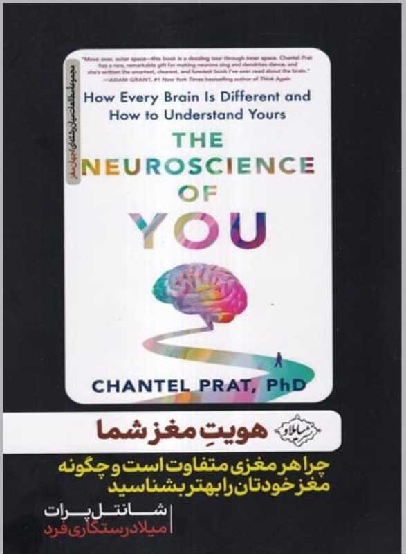 هویت مغز شما (چرا هر مغزی متفاوت است و چگونه مغز خودتان را بهتر بشناسید)