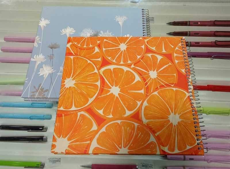 دفتر نقطه‌ای و شطرنجی 100 برگ خشتی سیمی POODLE - 0