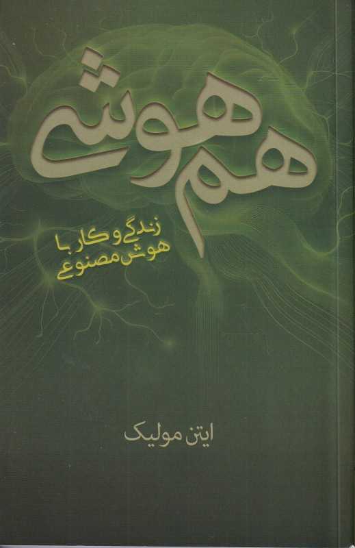هم‌هوشی (زندگی و کار با هوش مصنوعی)