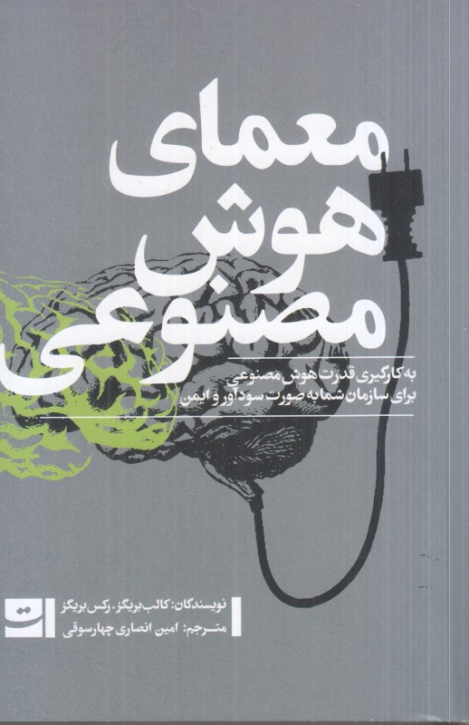 معمای هوش مصنوعی (به کارگیری قدرت هوش مصنوعی برای سازمان شما به صورت سودآور و ایمن)