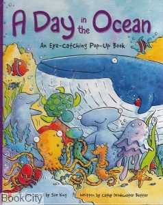 A Day in the Ocean