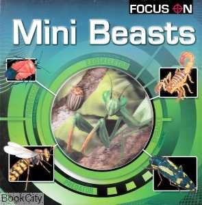 Focus on Mini Beasts