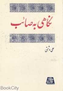 نگاهی به صائب (شومیز)