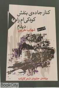 کنار جاده بنفش کودکی‌ام را دیدم (مجموعه شعر)