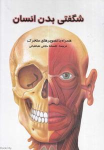 item.website_item_name