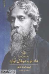 ماه نو و مرغان آواره