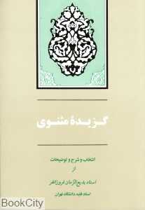 گزیده مثنوی