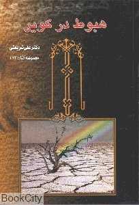 هبوط در کویر