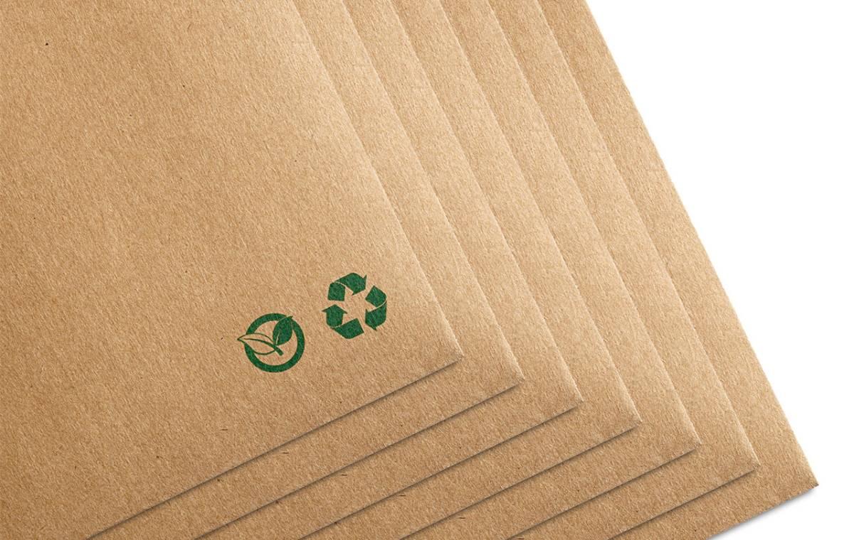 چرا باید کاغذ سازگار با محیط زیست بخریم؟ - Cover Image