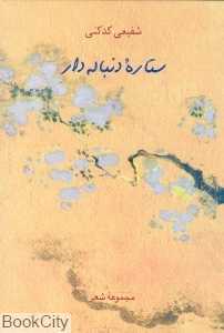 ستاره دنباله‌دار