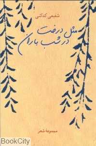 مثل درخت در شب باران (مجموعه شعر)