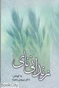 زندانی نای