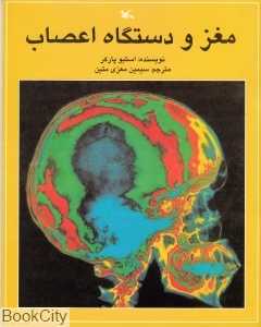 مغز و دستگاه اعصاب