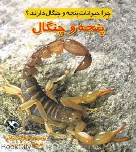 چرا حیوانات پنجه و چنگال دارند