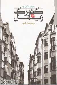 گئورگ زیمل