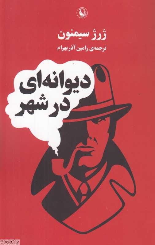 دیوانه‌ای در شهر
