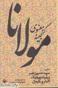 گنجینه معنوی مولانا