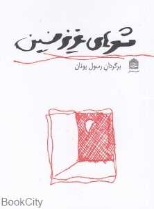 شعرهای عزیزنسین
