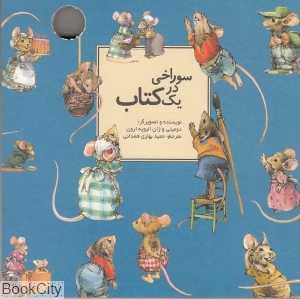 سوراخی در یک کتاب