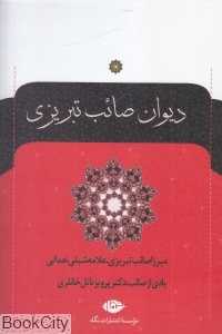 دیوان صائب تبریزی (2 جلدی)