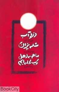 دزد آب شله پزان ما همه اهل یک محله ایم