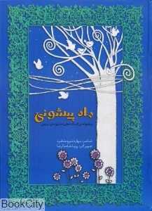 ماه پیشونی (مجموعه افسانه‌های دخترونه‌ی ایرونی 2)