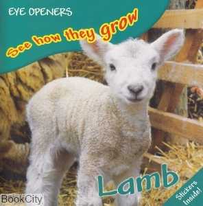 Lamb See How They Grow
