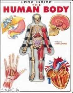 Look Inside The Human Body