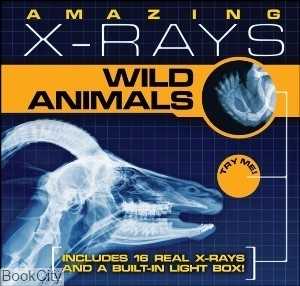Amazing X Rays Wild Animals